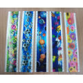 High Quality Lenticular 3D Cartoon Plastic Ruler